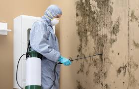 Best Dehumidification Services  in Golden Shores, AZ